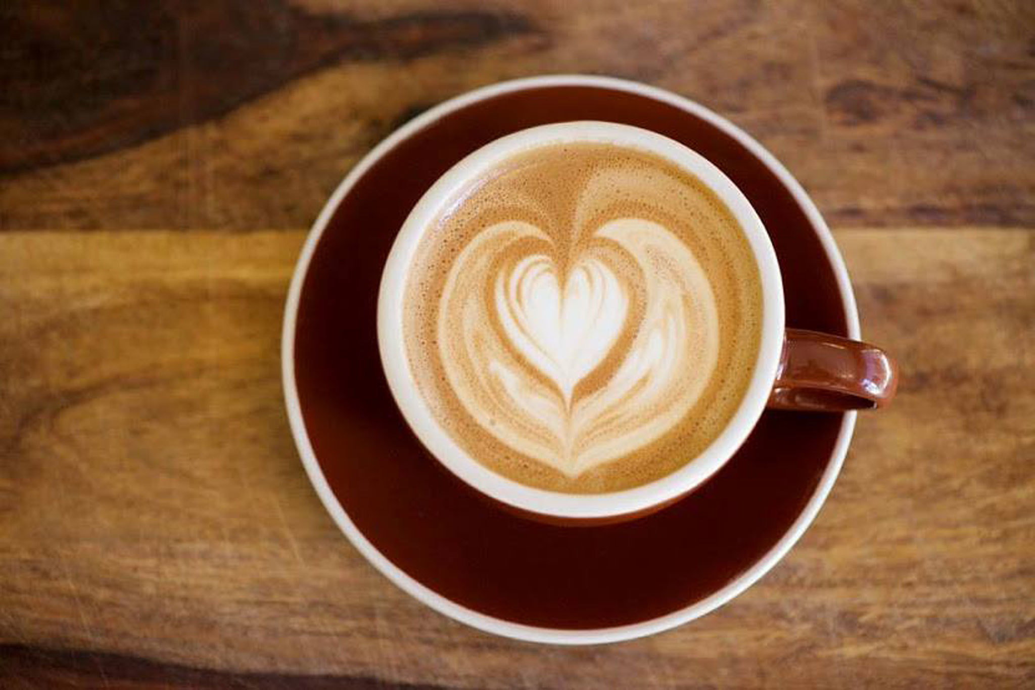Best Coffee Shops in Hollywood for Your Caffeine Fix