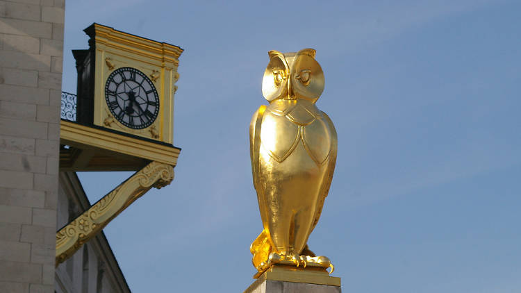 A golden owl on the Owl Trail