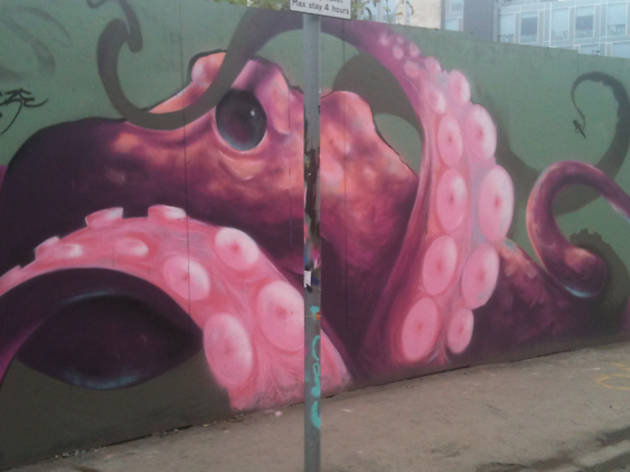 edinburgh street art octopus edinburgh street art octopus