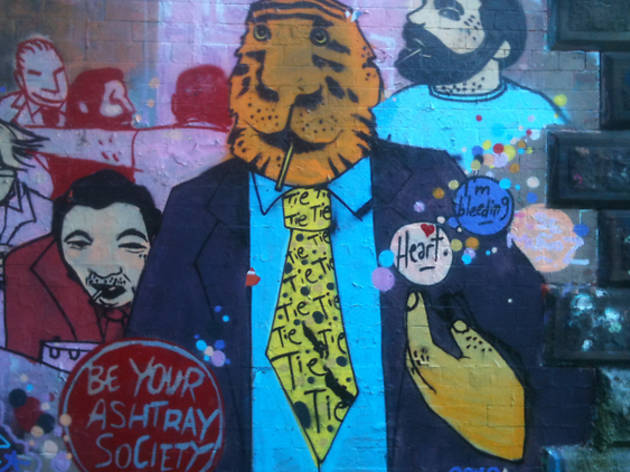 edinburgh street art tiger edinburgh street art tiger