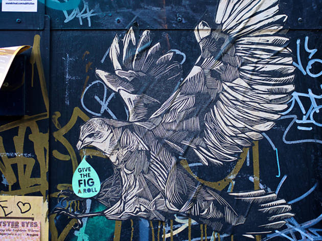 edinburgh street art hawk edinburgh street art hawk
