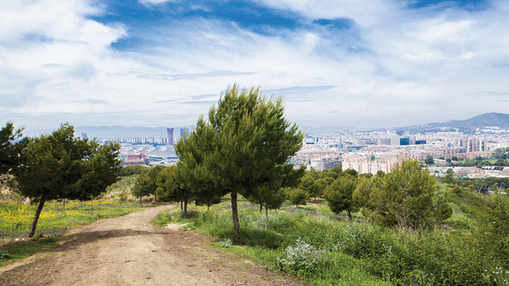 Ruta Por Montjuïc: Un Paseo Con Vistas