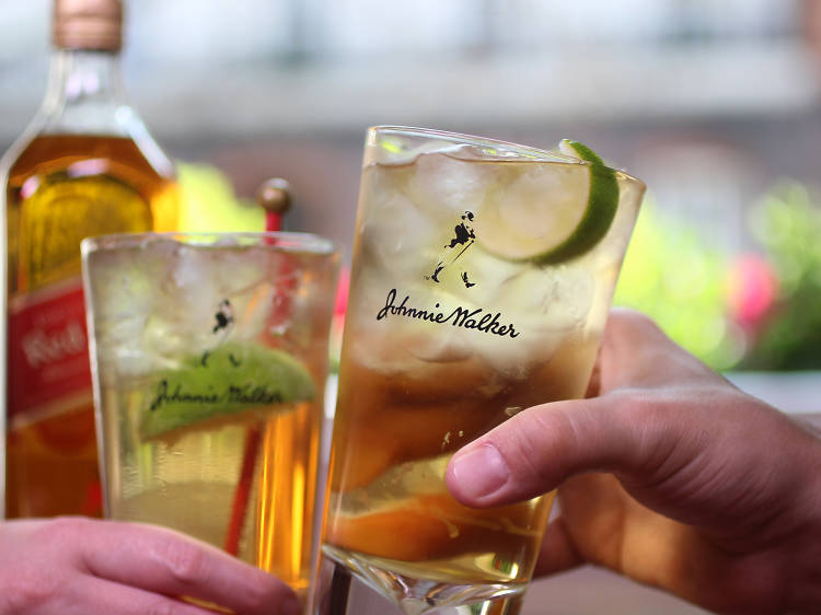 johnnie walker, ginger