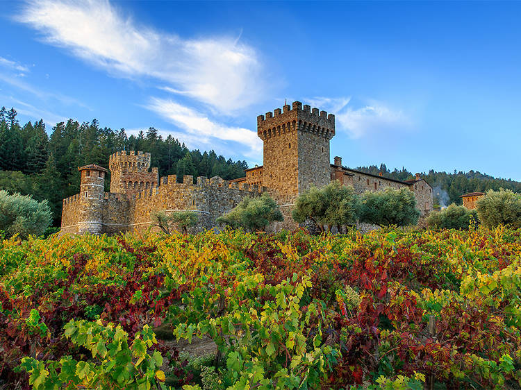 Castello di Amorosa | Calistoga, CA