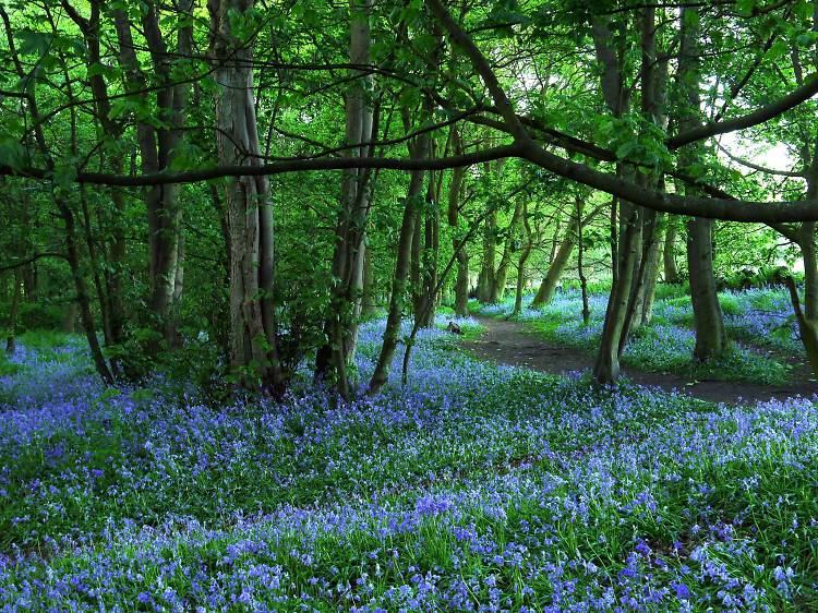 Parklife: the top five parks in Leeds