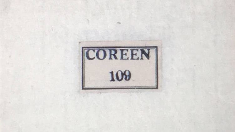 남화연 ("Coreen 109" Courtesy of the artist and Arko Art Center)