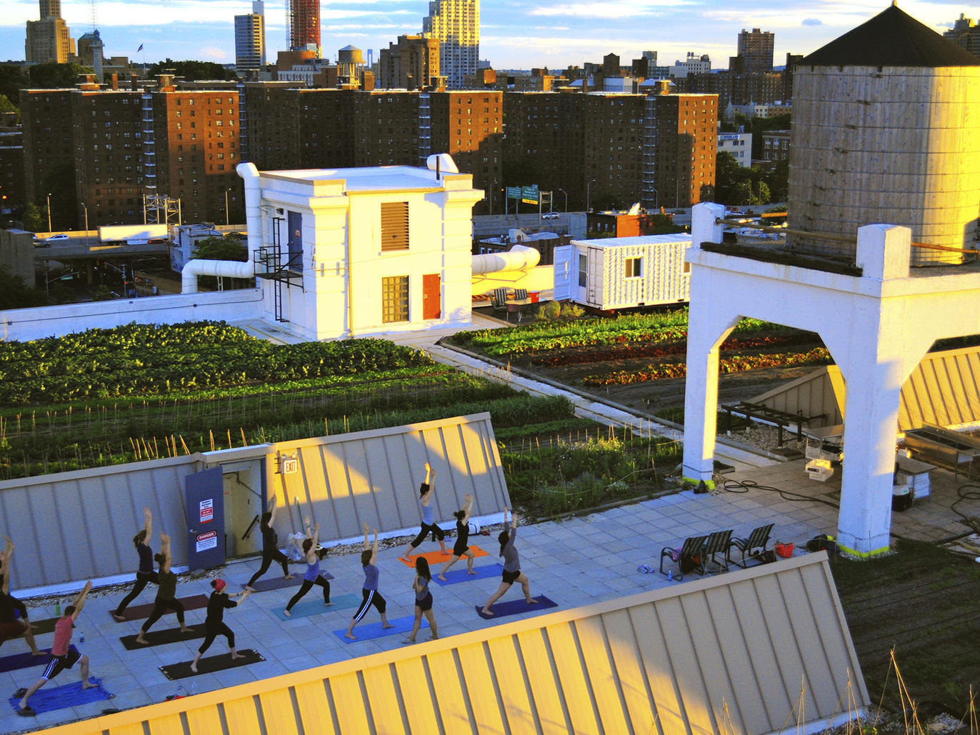 Outdoor Yoga in NYC A Guide to Free Classes and Rooftop Vinyasa