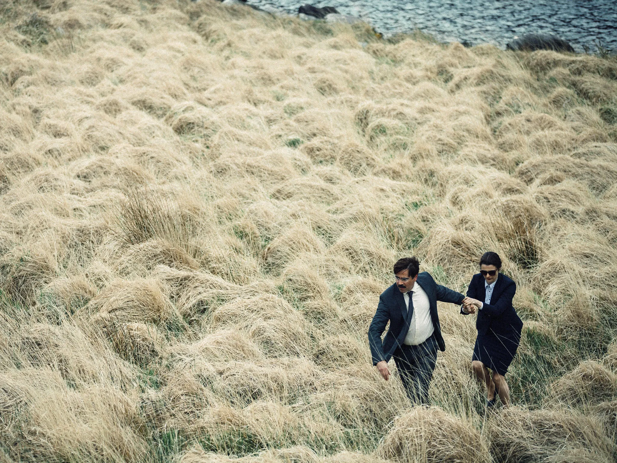 The Lobster