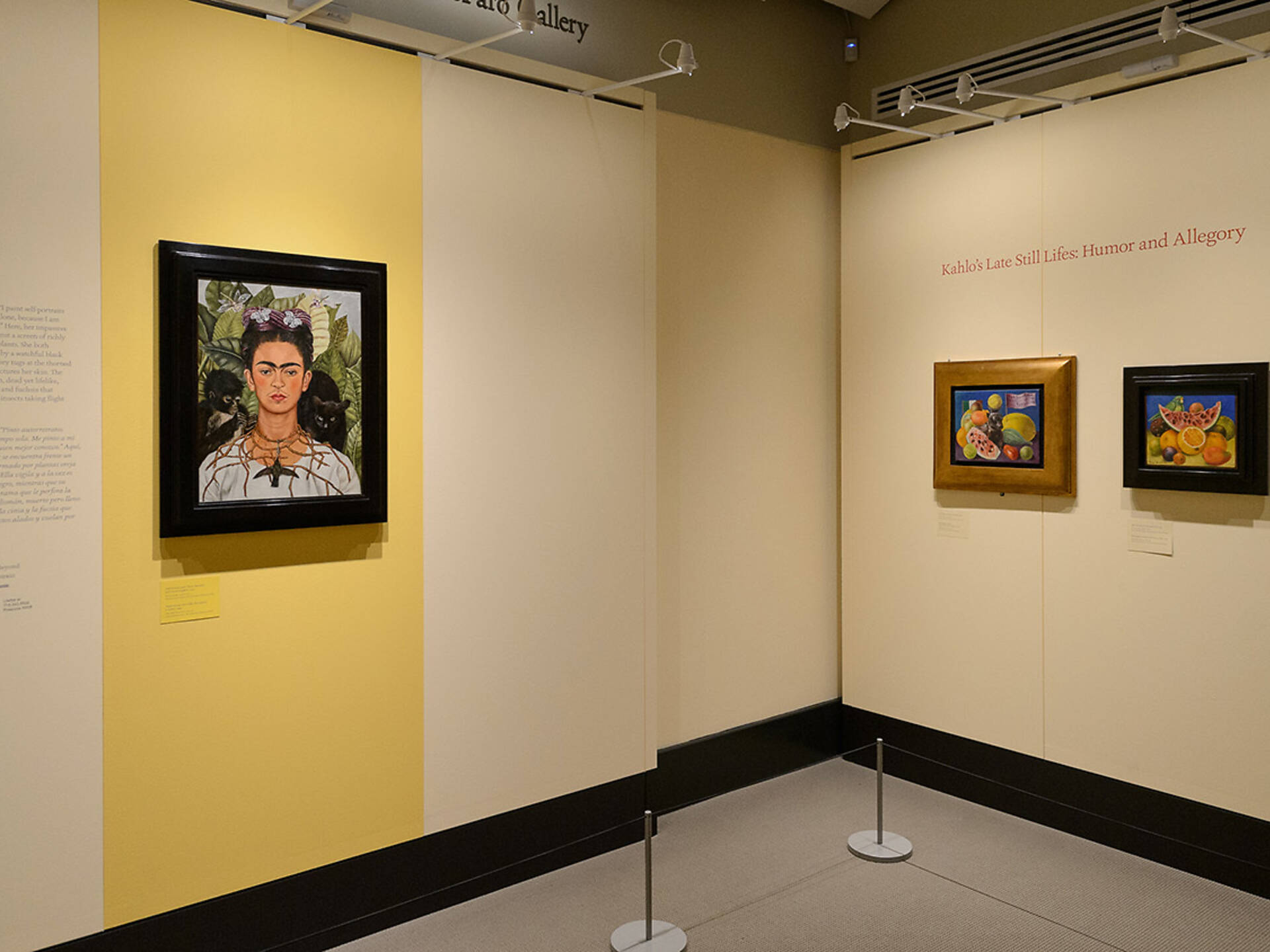 Photos of 'Frida Kahlo: Art. Garden. Life' at the New York Botanical Garden