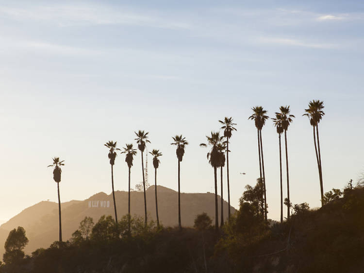 The 20 signs that you've been blessed by the LA gods