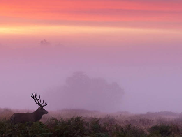 Daybreak Daybreak