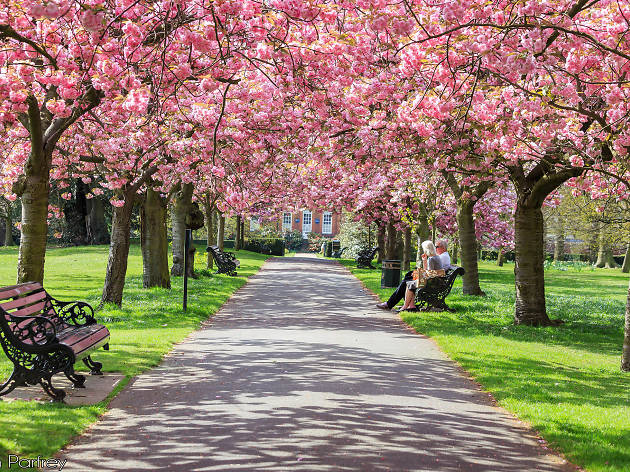 17 Best Parks and Grand Green Spaces in London | London's Major Parks