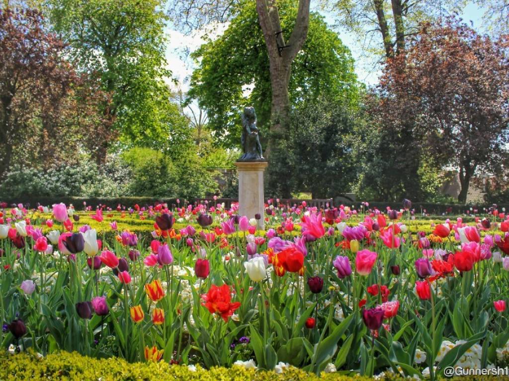 21 photos of flowers blooming all over London