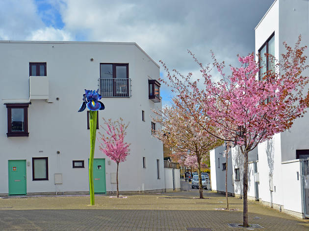 Blossom trees in Tower Hamlets. Blossom trees in Tower Hamlets.