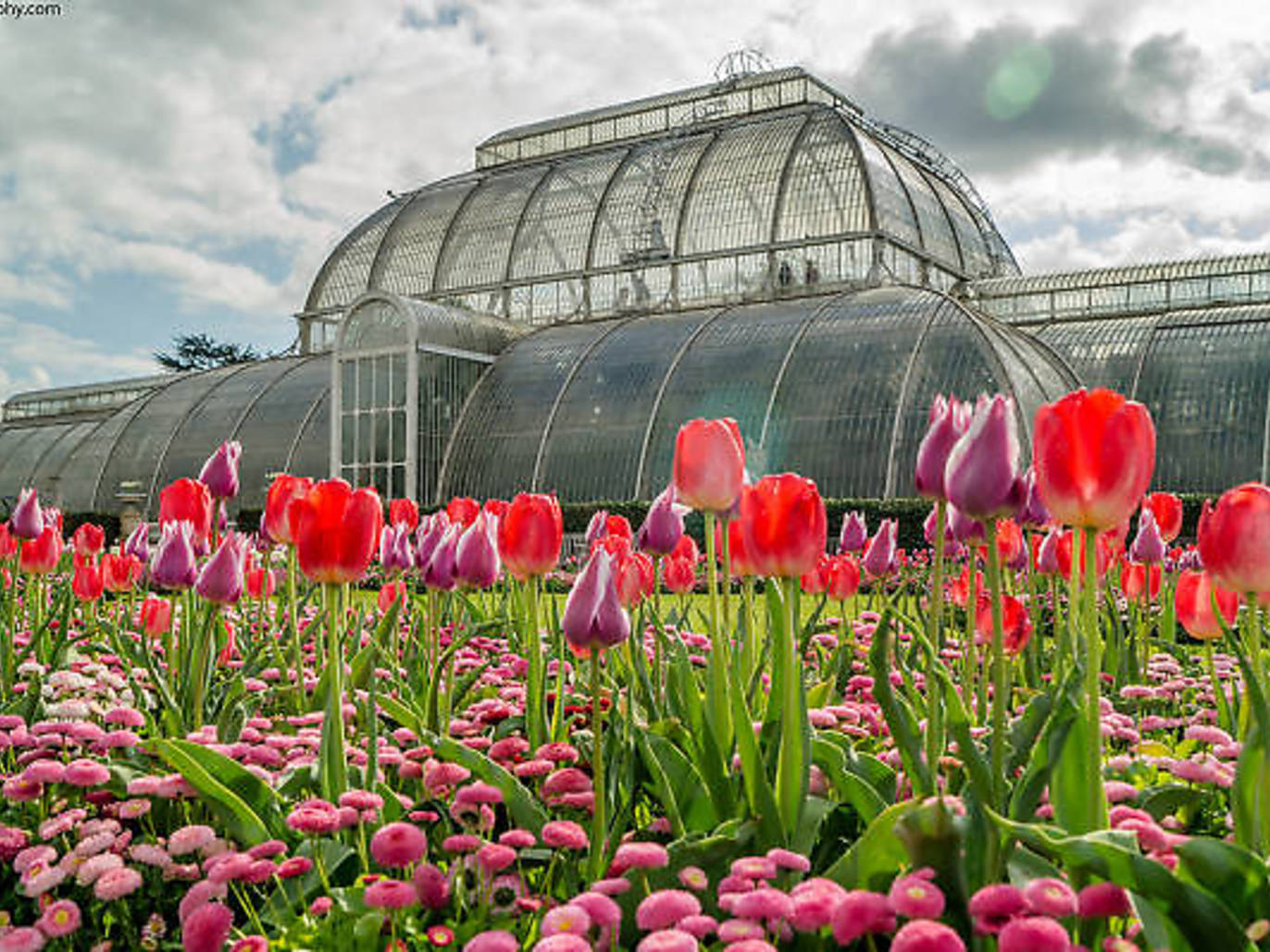 21 photos of flowers blooming all over London