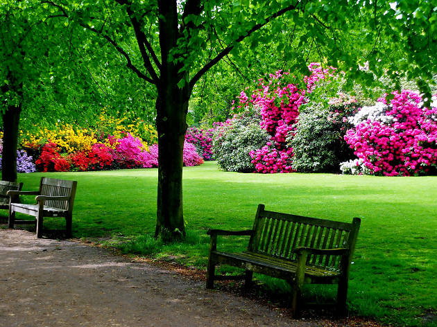 Flowers at Kenwood House, Hampstead Heath. Flowers at Kenwood House, Hampstead Heath.