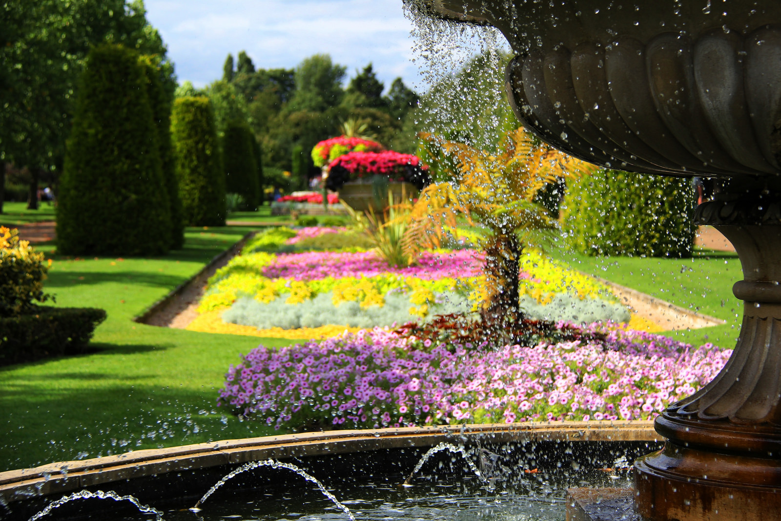 21 photos of flowers blooming all over London