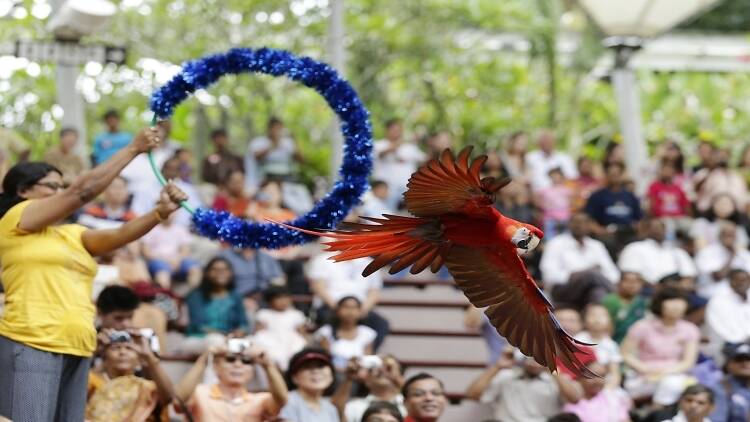 Jurong Bird Park celebrates SG50