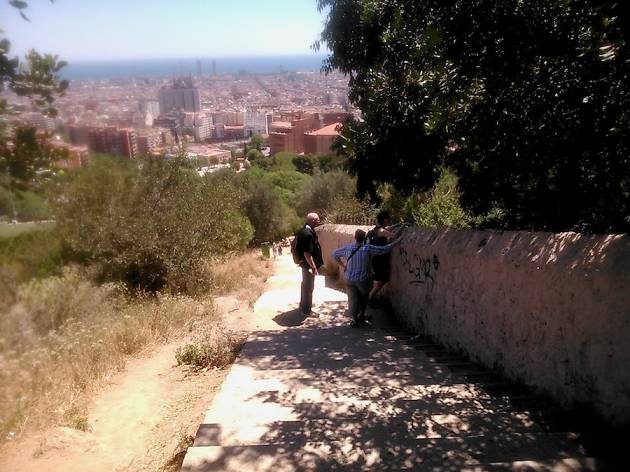 Camí de Can Móra Camí de Can Móra