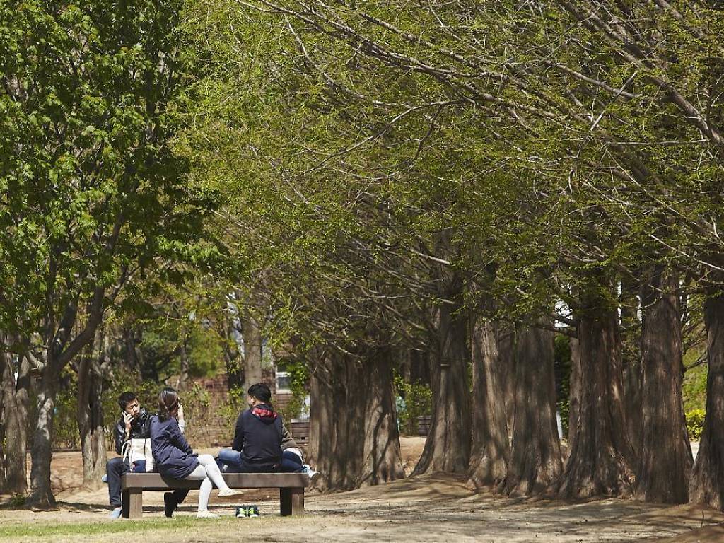 The best picnic spots in Seoul | Time Out Seoul