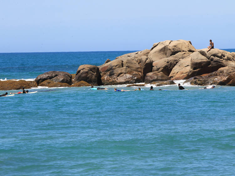 Surf’s up at Whisky Point