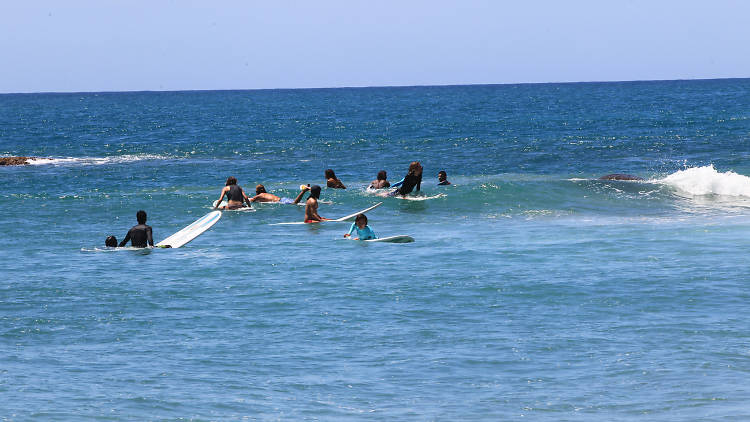 The beach at Whisky Point