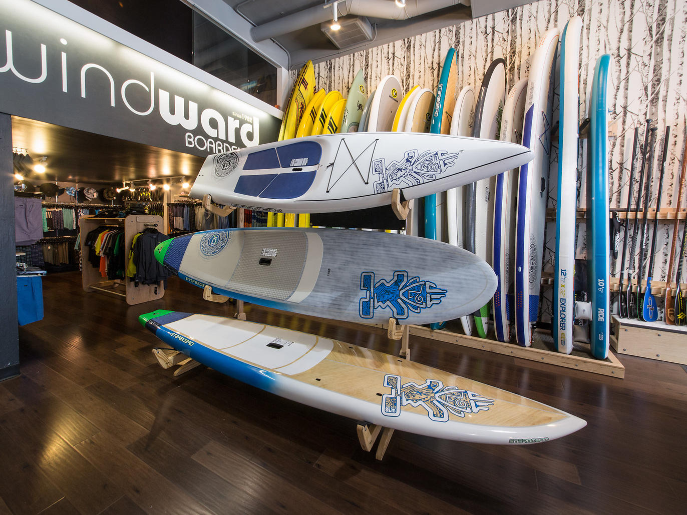 Best sports stores in Chicago for all your sporting goods needs