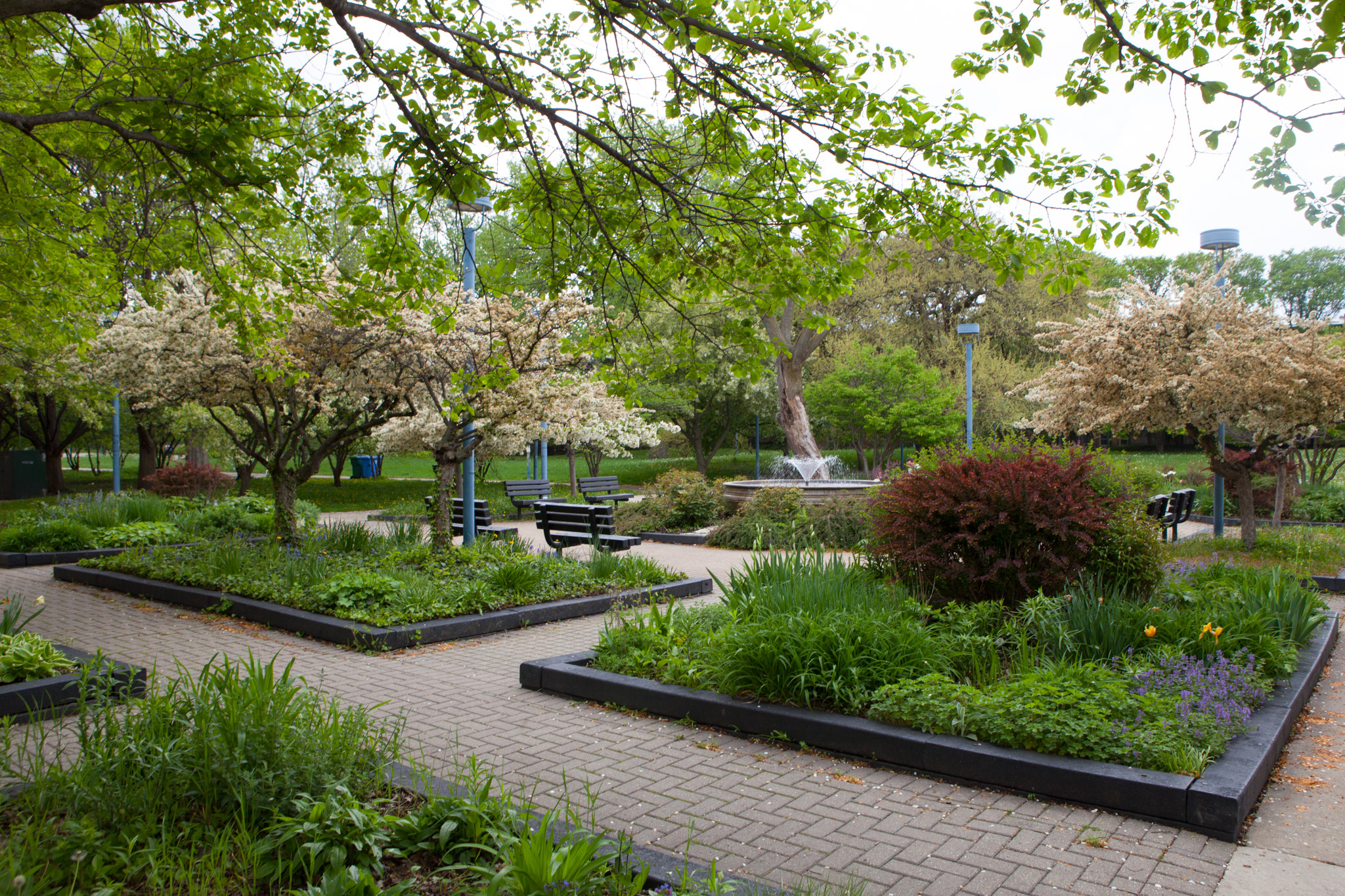 Nichols Park Things to do in Hyde Park, Chicago