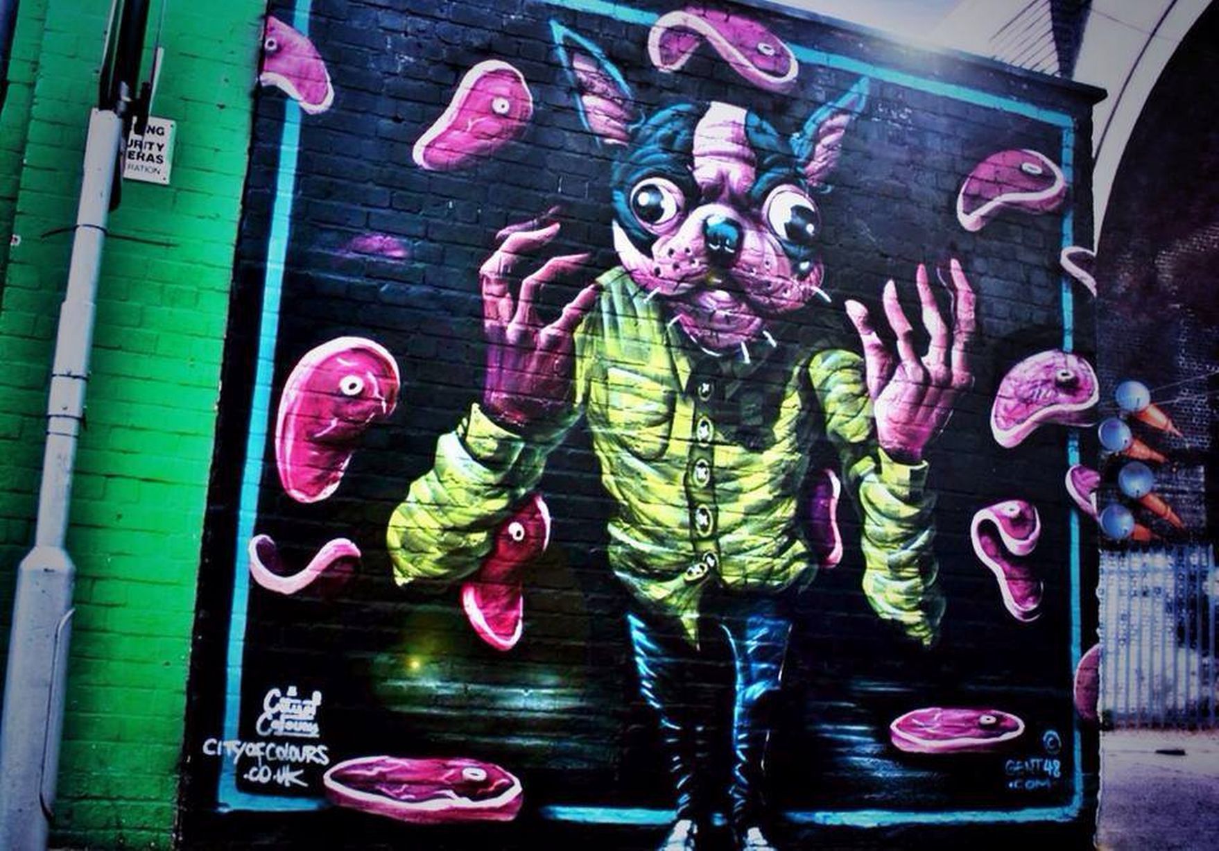 28 Amazing Birmingham street art images from City of Colours