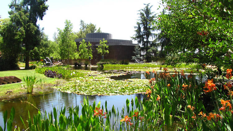 Norton Simon Museum