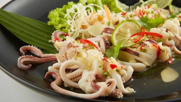 Lemonsteam Squid