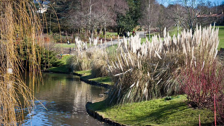 Visit London’s only free zoo in Golders Hill Park