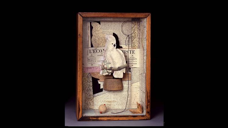 Joseph Cornell, 'A Parrot for Juan Gris', 1953-54. © The Joseph and Robert Cornell Memorial Foundation/VAGA, NY/DACS, London 2014. Photo: Quicksilver Photographers, LLC