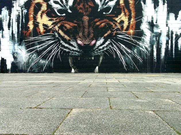 A tour of Glasgow’s best street art A tour of Glasgow’s best street art