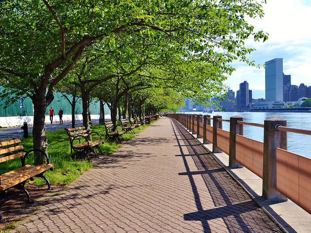 Roosevelt Island