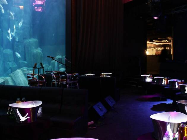 L'aQuarium Club L'aQuarium Club