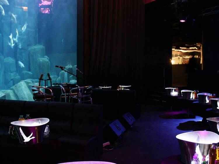 L'aQuarium Club