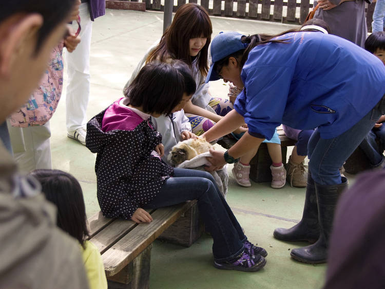 碑文谷公園 こども動物広場