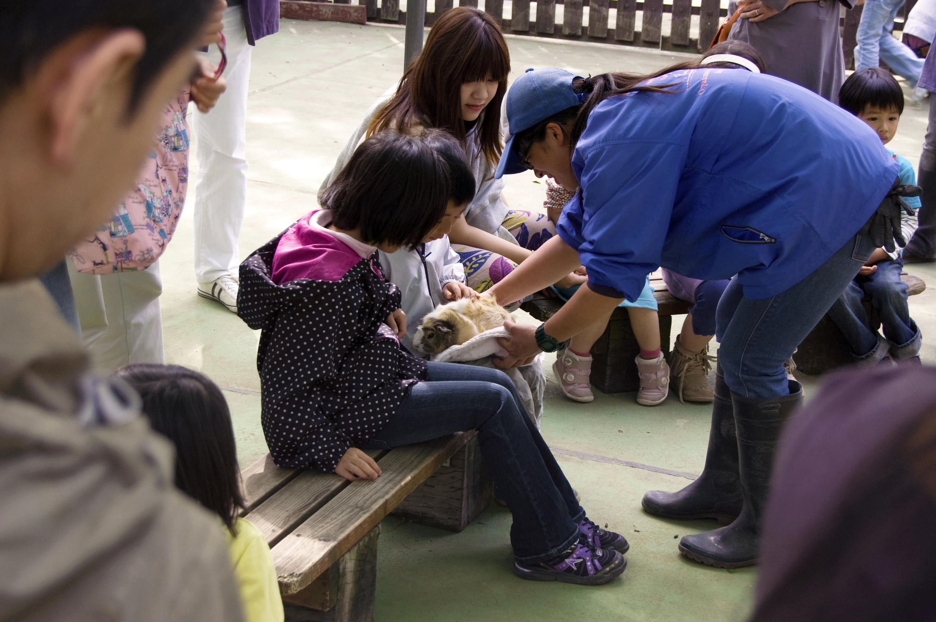 碑文谷公園