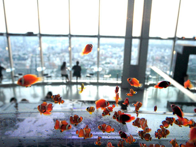 Sky Aquarium III, Roppongi Sky Aquarium III, Roppongi