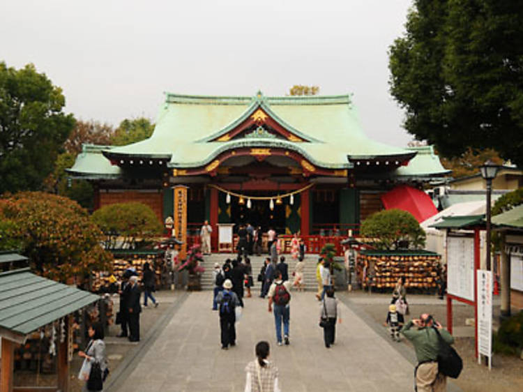 Wander under the wisterias at Kameido Ten Jinja