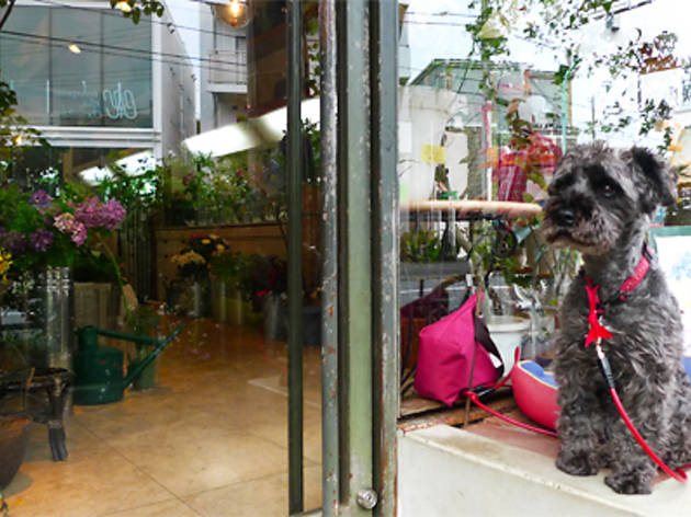 花の木屋 花の木屋