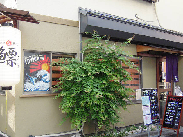 鰾 鰾