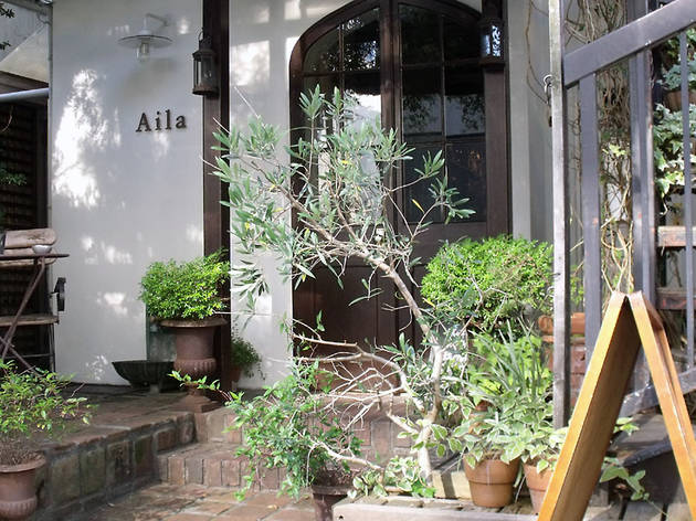 Aila Aila