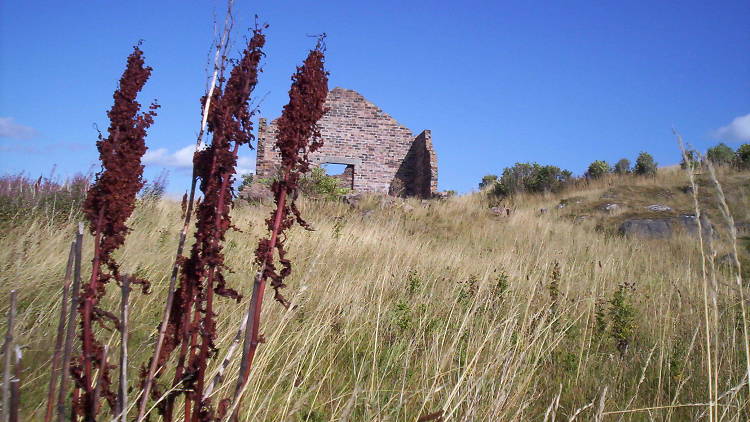 Cramond Island