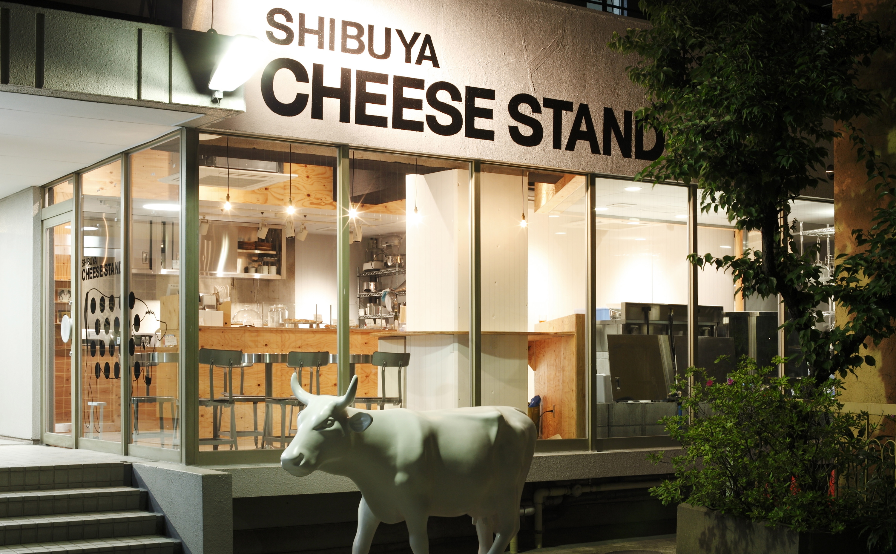 Shibuya Cheese Stand Restaurants in Shibuya, Tokyo