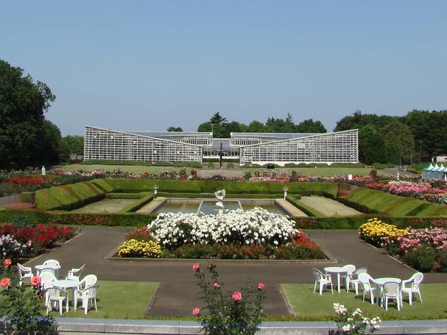 Jindai Botanical Garden | Attractions in Chofu, Tokyo