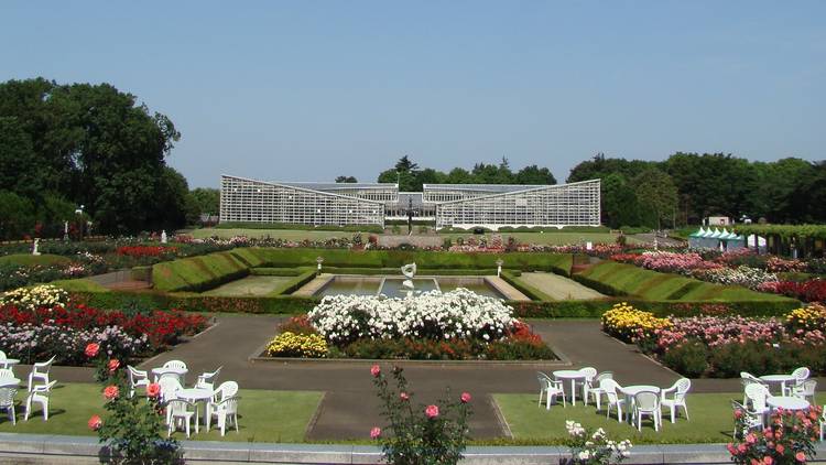 Jindai Botanical Garden