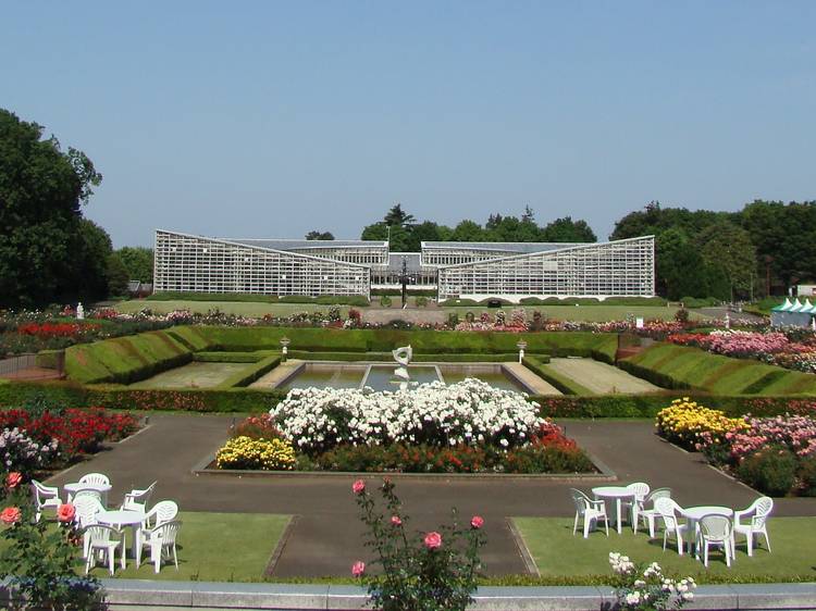 Jindai Botanical Garden