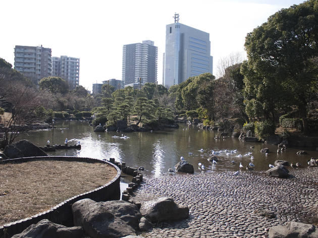 隅田公園 隅田公園